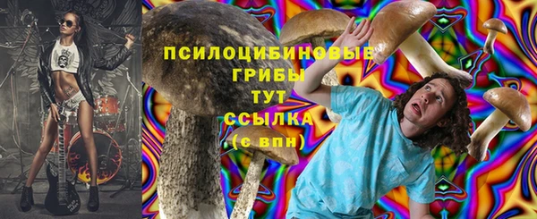 марки lsd Вяземский